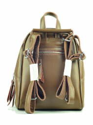 Сумка-рюкзак Dear Style DS1290 светло-коричневая